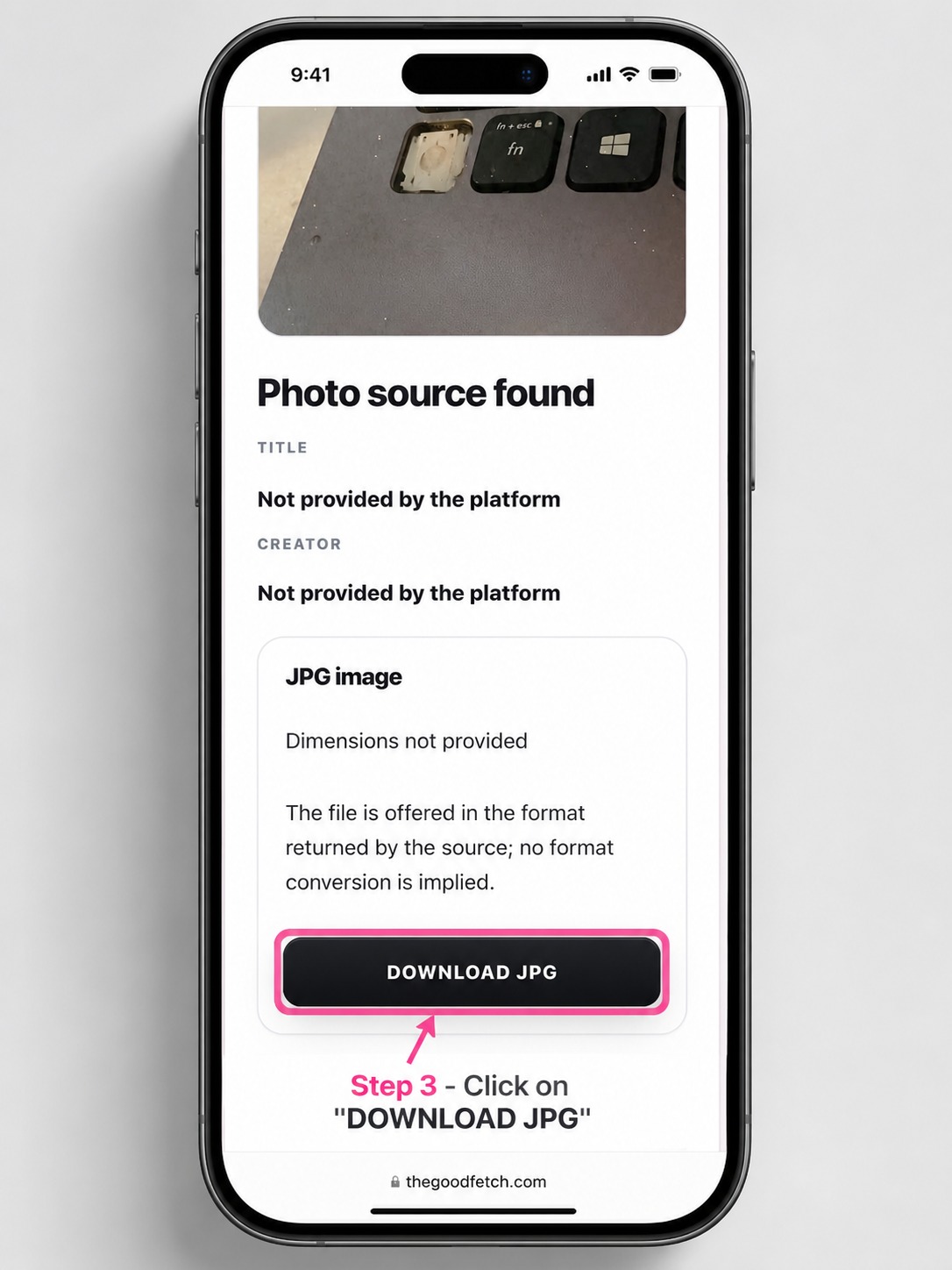 GoodFetch Instagram photo result showing the image preview, JPG details, and Download Photo button